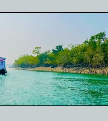 sundarban tour package