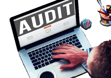 Online Audit Service