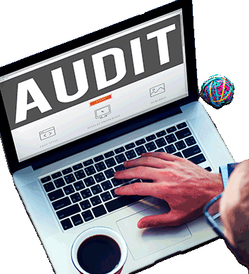 Online Audit Service