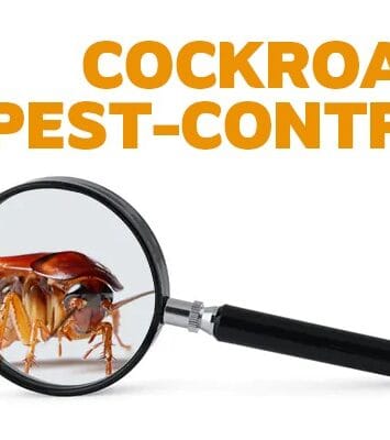 cockroach past control1