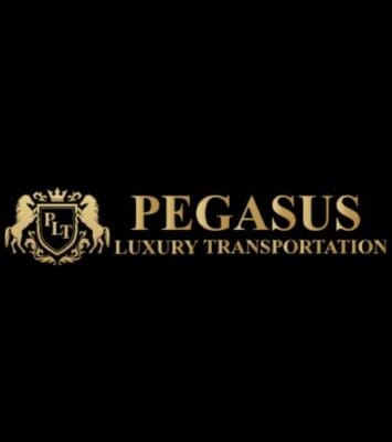 pegasus logo final 1