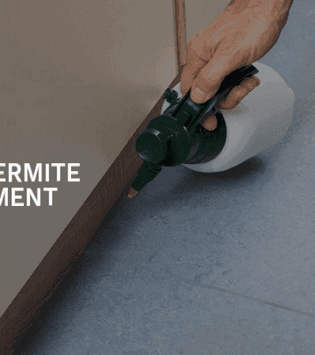 Anti Termite Control Dubai