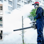 Pest Control Dubai