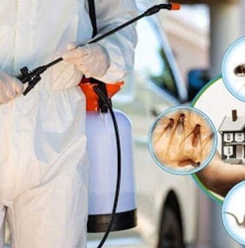 Pest Control Dubai