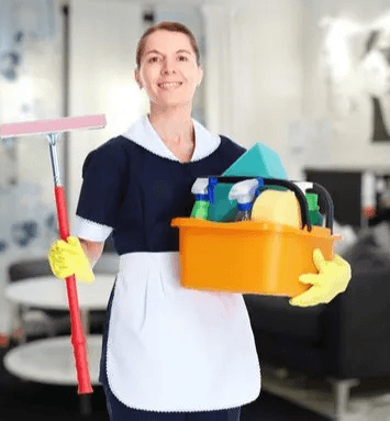 maid services 500x500 1