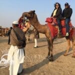 Camel ride 2