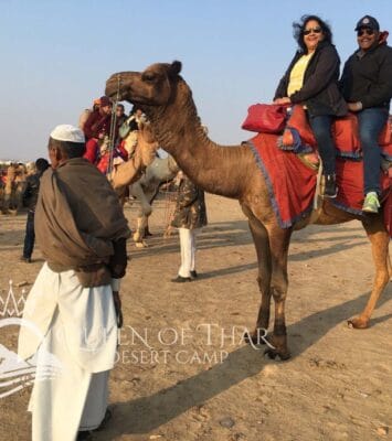 Camel ride 2