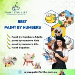 Paint By Numbers Adults 1