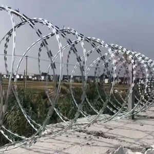 concertina wire 1