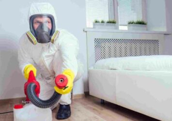 conquer bed bugs expert detection and treatment methods in toronto 1024x576 1